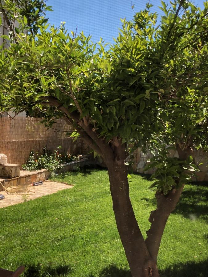 ליקסורי Petros Rooms & Apartments מראה חיצוני תמונה